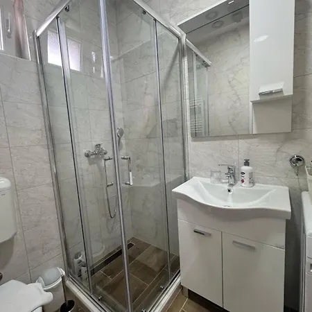 Apartment Petrovic *