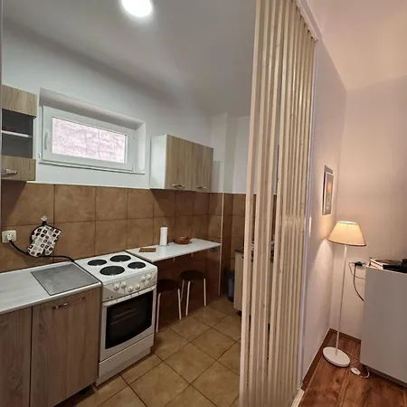 Petrovic Apartment *