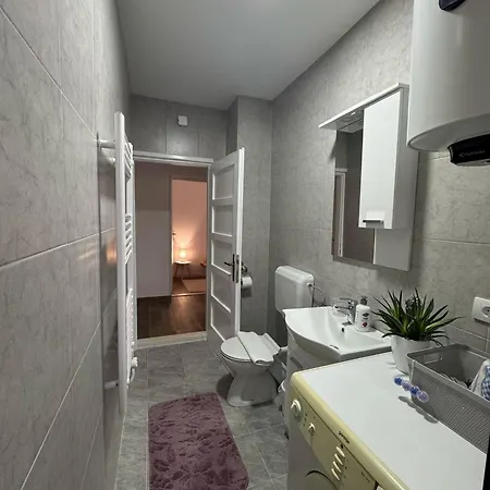 Apartment Petrovic *