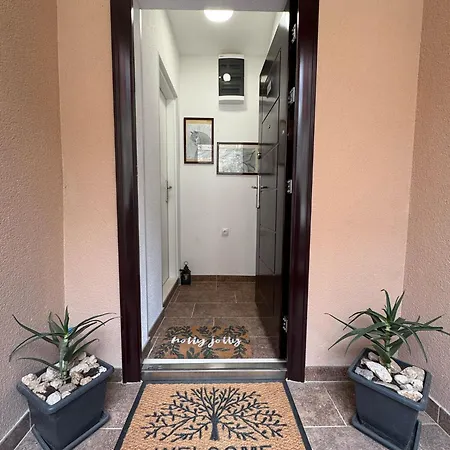 Apartment Petrovic *