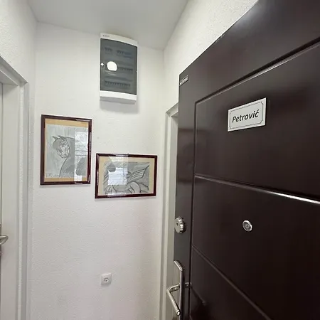 Apartment Petrovic *