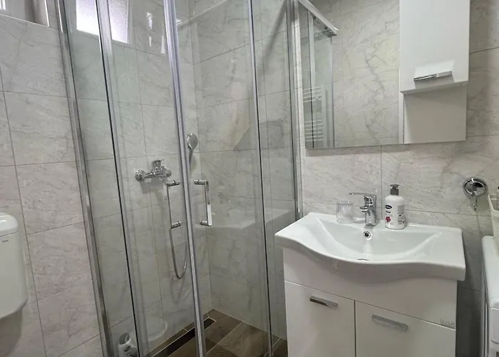 Apartment Petrovic *