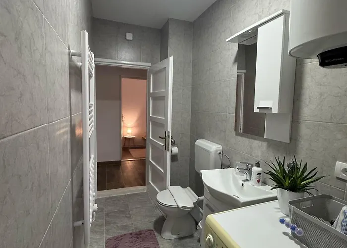 Apartment Petrovic *