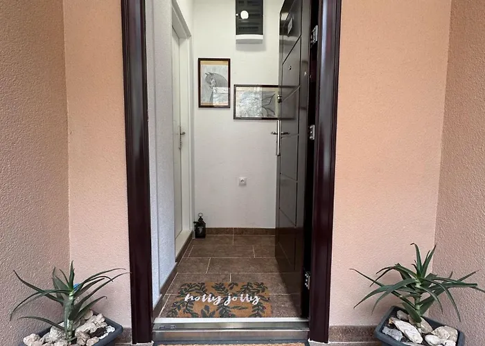 Apartment Petrovic *