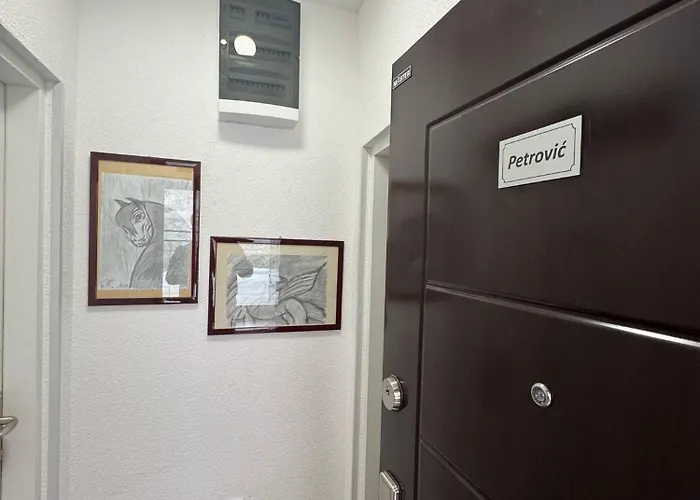 Apartment Petrovic *